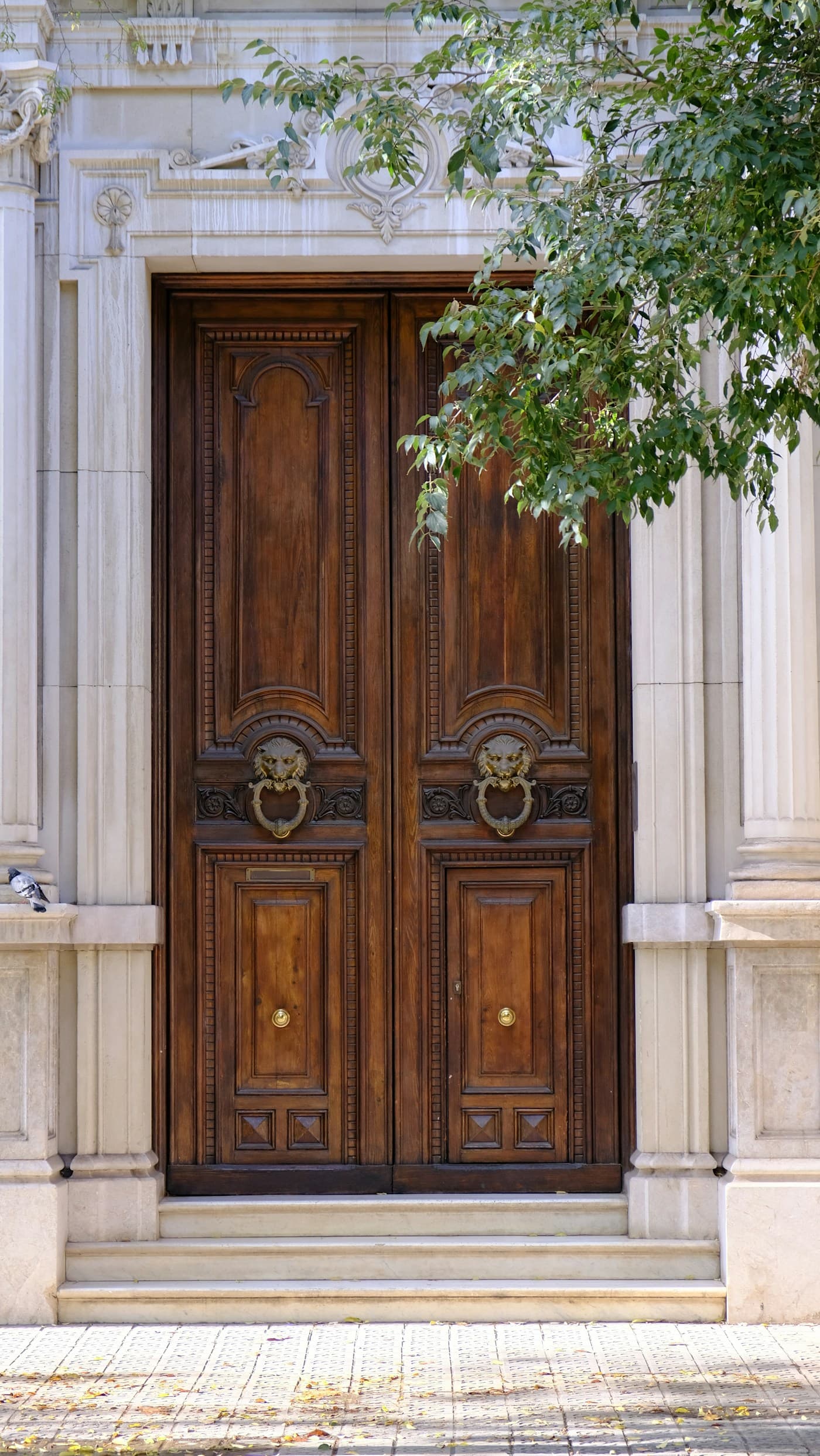 Luxury handcrafted wooden door